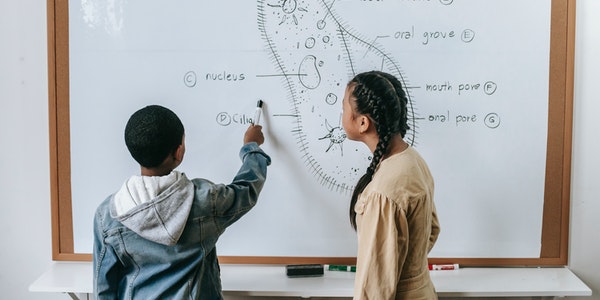Best 5 AP Biology Review Books