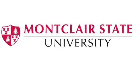 Online MBA Programs