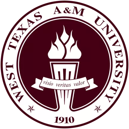 Online MBA Programs